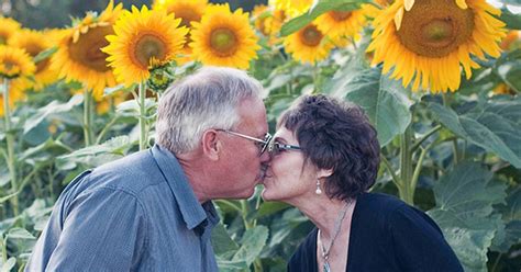 Grieving Husband Plants 4 Miles Of Sunflowers To Honor Late Wife
