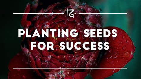 Ep 201 Planting Seeds For Success Youtube