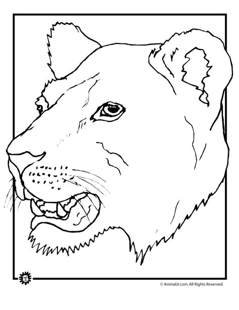 The lion coloring pages allow the kids to explore their creative potential besides being a source of inspiration and imagination. Lioness coloring pages download and print for free