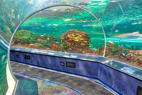 Toronto Ripleys Aquarium Tunnels Containing Aquarium Toronto And