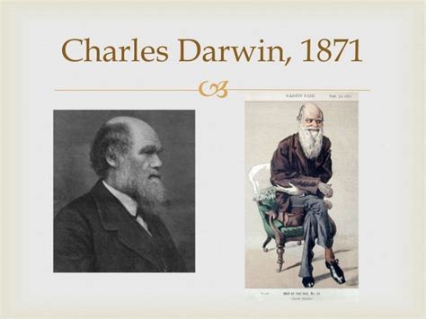 Darwins Women