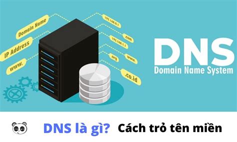 DNS là gì? Cách sử dụng và trỏ tên miền với các loại DNS ...