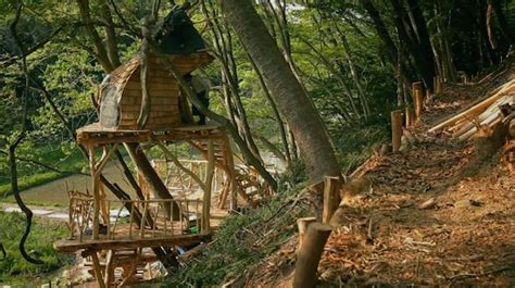 Japanese Surfer Builds Incredible Tree House Classroom For Tsunami My