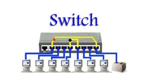 Cuál Es La Diferencia Entre Router Y Switch Y Cómo Funcionan Ambos