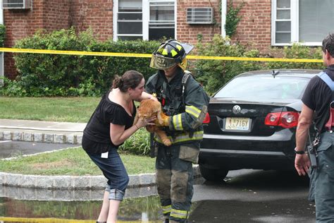 While Fighting Flames Hero Roselle Firefighter Rescues Trapped Pet