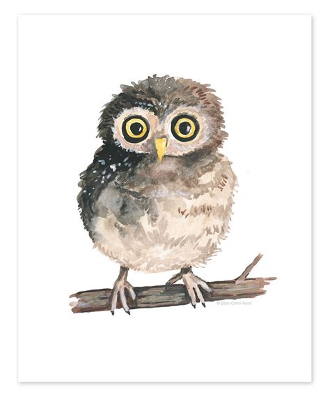 Look What I Found On Zulily Watercolor Baby Owl On