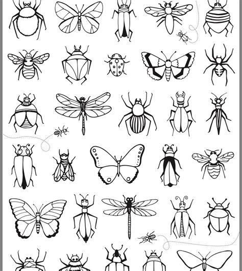 Tattoo Flash Art Insect Art Art Drawings Sketches Flower Drawing