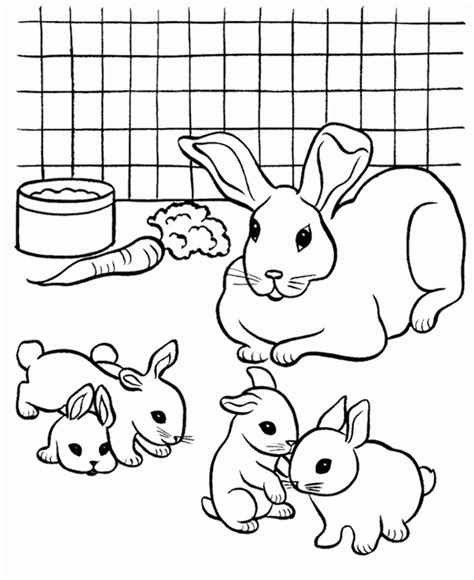 Colouring Pictures Of Rabbits Coloring Home