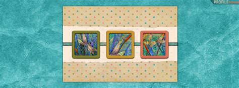 Colorful Polkadot Dragonfly Facebook Cover For Timeline