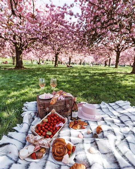 grabbing some french snacks under 250 cherry trees 🌸 what s your favorite thing to do in spring