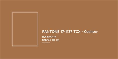 About Pantone Tcx Cashew Color Color Codes Similar Colors