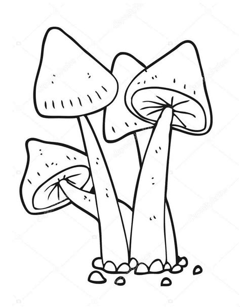 Cogumelos Para Colorir Imprimir E Desenhar Colorir Me