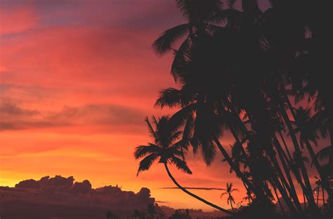 X X Sunset Light Summer Wallpapers Islands Sunrise
