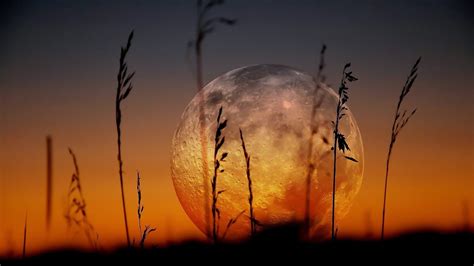 Moon And Sunset