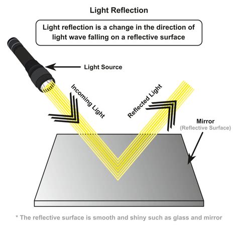 Starting With The Light Source Describe The Path