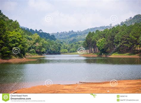 Beautiful Natural Scene Of Greenery Forest And Lake Stock Photos