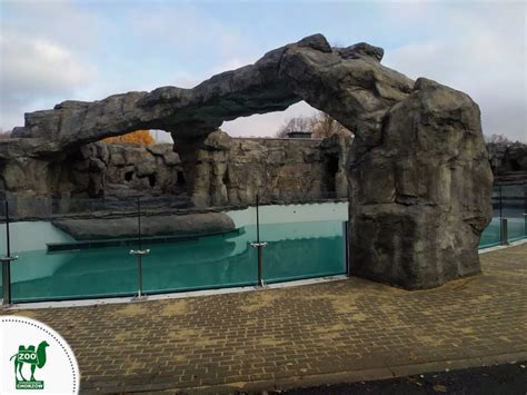 Pingwiny humboldta (spheniscus humboldti), nazywane również pingwinami peruwiańskimi pingwiny te, obok pingwinów z galapagos, należą do najbardziej zagrożonych gatunków tych ptaków. „7 Dni Zoo" - nr 177 | Mrówkojad i przyjaciele...