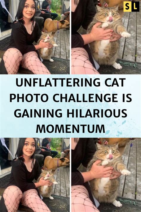 Unflattering Cat Photo Challenge Is Gaining Hilarious Momentum