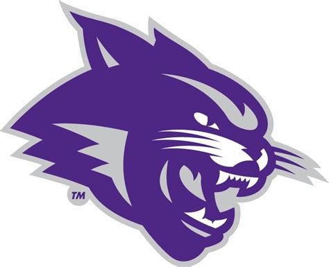Abilene Christian Wildcats Partial Logo 2013 Wildcats Logo