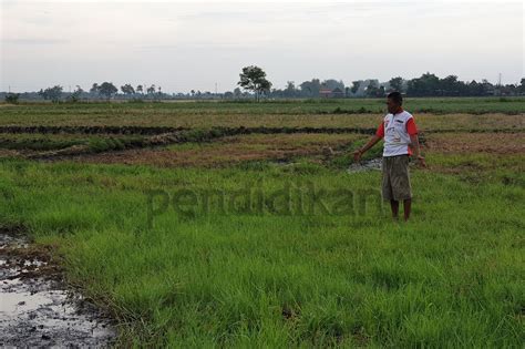 Waduk ini terletak di lembah di antara beberapa puncak gunung rowo bergoyang no sensor edbuat kalian terutama orang tua ini adalah sebuah pelajaran. Tanah Persawahan Bergoyang Kalau Bertani Harus Tengkurap