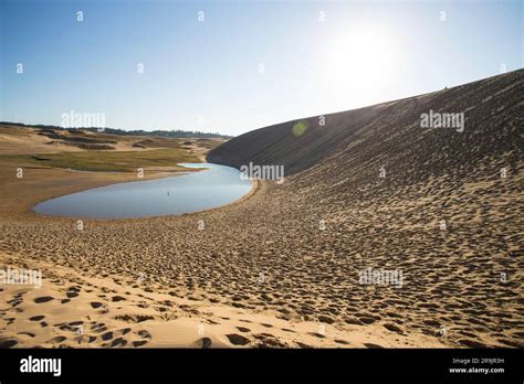 In a Japanese "desert Stock Photo - Alamy