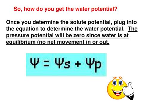 Ppt What Is Water Potential Powerpoint Presentation Free Download