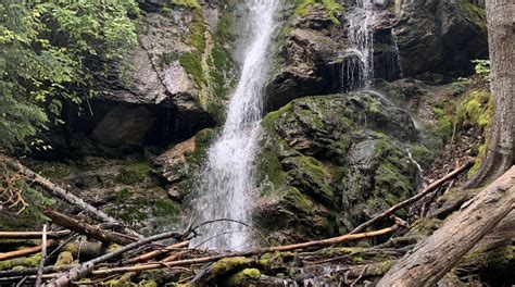 Visita Columbia Falls Scopri Il Meglio Di Columbia Falls Montana Nel