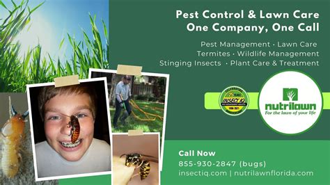 Pest Control And Lawn Maintenance—one Company One Call