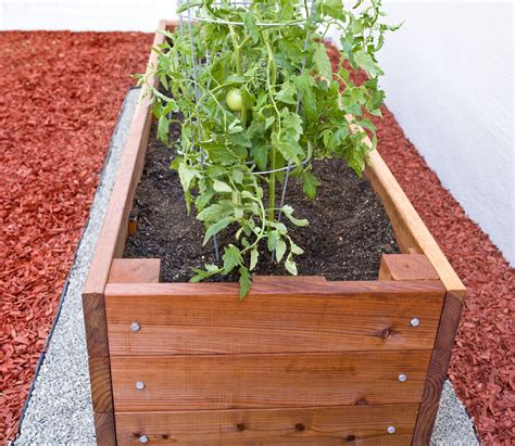 Large Redwood Planter Box For Tomatoes Redwood Planter Boxes Planter