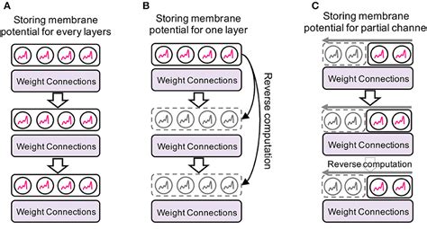 Frontiers Sharing Leaky Integrate And Fire Neurons For Memory