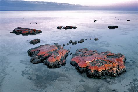 Stromatolites Hamelin Pool Shark Bay Mark Boyle Photography