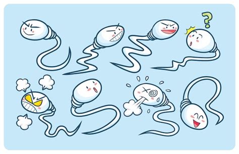 Premium Vector Cute Sperm Cells And Ovum Cartoon