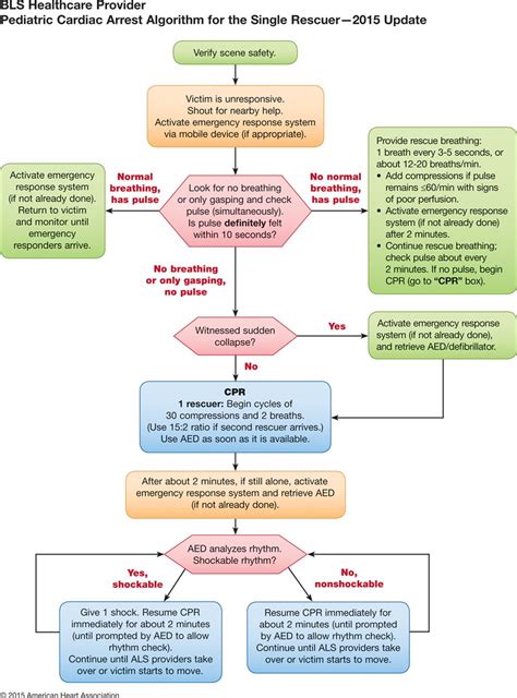 Aha Bls For Healthcare Providers