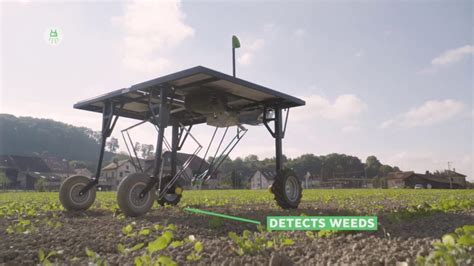 Ecorobotix El Robot Agrícola Autónomo Y Ecológico Cinco Noticias