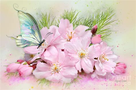 Butterfly On Cherry Blossom Mixed Media By Morag Bates Pixels