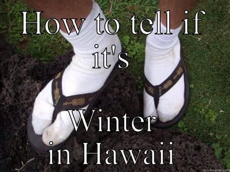 Hawaii Winter Clothes Quickmeme