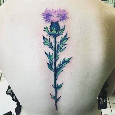 27 Impressive Thistle Tattoo Ideas Tattoobloq Scottish Tattoos