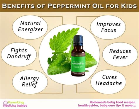 11 Must Know Benefits Of Peppermint Oil For Kids