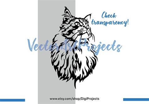 Cute Maine Coon Cat Clipart Design Cut File Maine Coon Svg Etsy