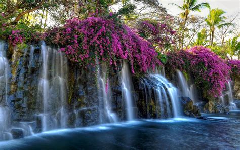 Waterfall Flowers Wallpapers Wallpaper Cave