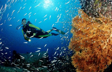 9 Best Spots For Scuba Diving In Thailand