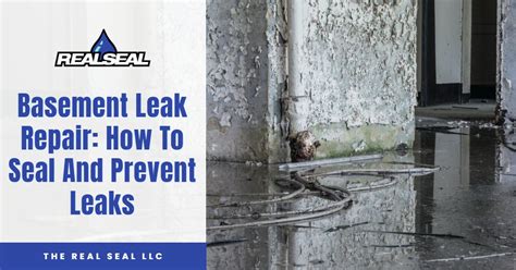 Basement Leak Repair How To Seal And Prevent Leaks