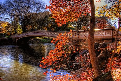 Autumn Bridge Colorful Fall Autumn Lovely Falling Colors Bonito