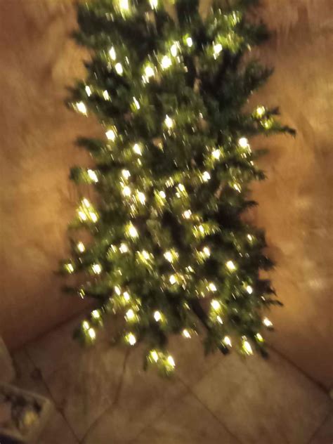 61/2 ft pre-lit Corner Christmas 🎄 - Christmas Trees - Clearwater