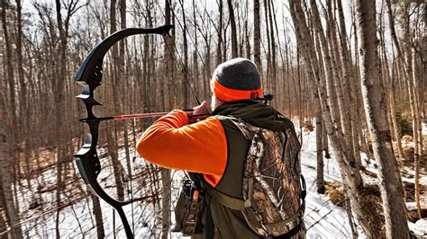 How To Choose The Right Hunting Bow