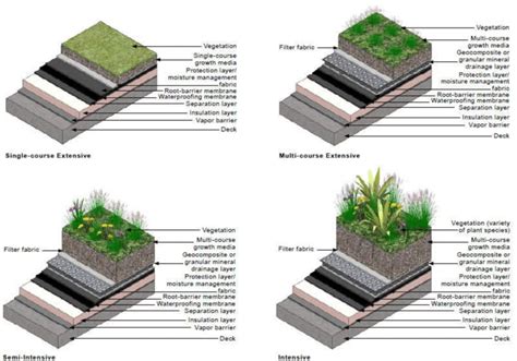 An Illustration Of The Four Green Roof Types And Thei Vrogue Co