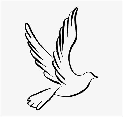 Dove Open Wings Drawing Artjournaldare