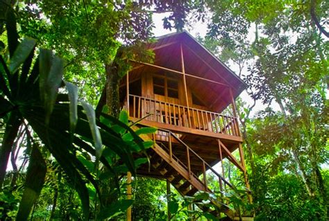 Tree Houses Hotel In La Fortuna Pura Vida Guide Costa Rica