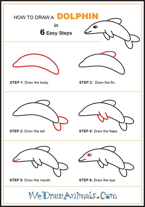 How To Draw A Simple Dolphin For Kids