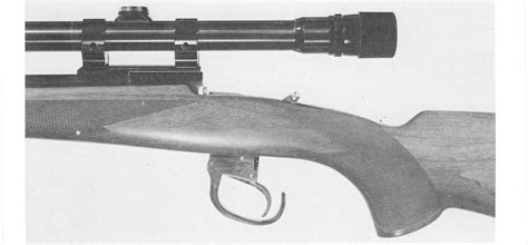 Fecker Woodchucker Rifle Plans Bev Fitchetts Guns